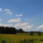 Suspenden contingencia ambiental por ozono en CDMX y Edomex