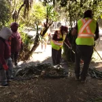 Avanza rehabilitación urbana en Tlalnepantla con impacto en movilidad y seguridad