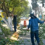 Jornadas municipales acercan servicios y atención directa a colonias de Atizapán de Zaragoza